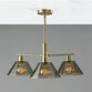 Lune Gray Smoked Glass Dome and Brass 3 Light Chandelier image number 2