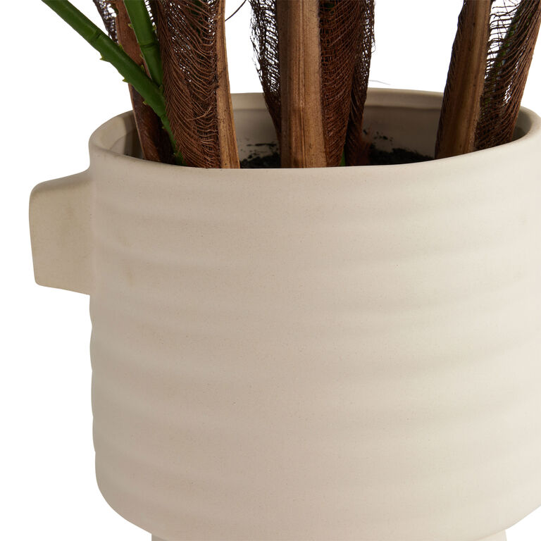 Faux Chinese Fan Palm in Ivory Cement Pot image number 2