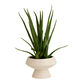 Faux Aloe Plant in Speckled Ivory Ceramic Pot image number 0