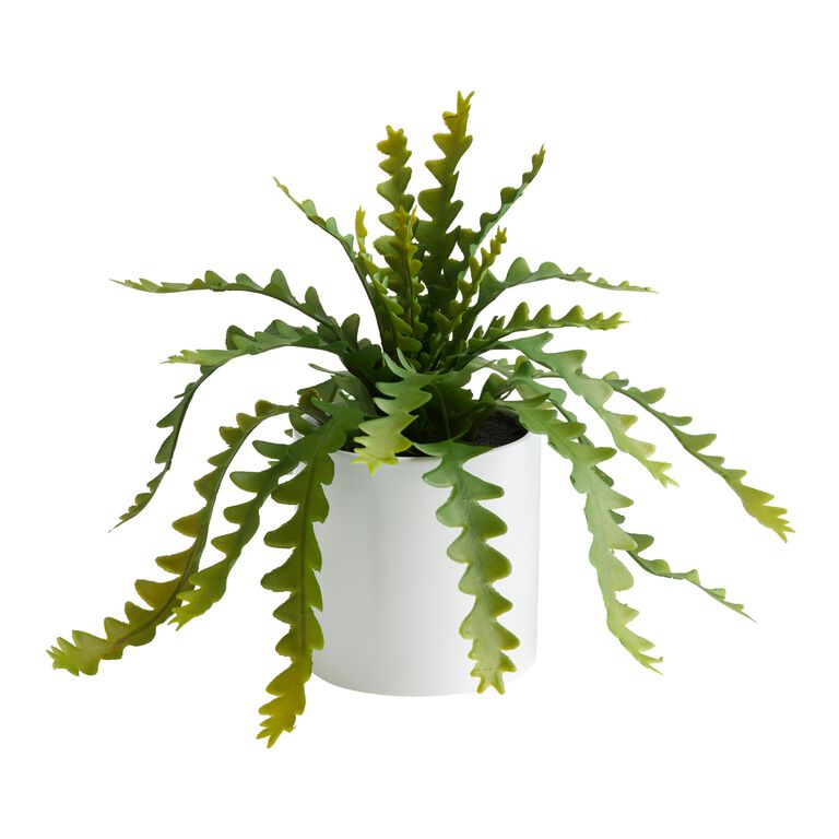 Faux Zigzag Cactus in White Ceramic Pot image number 1