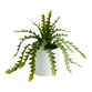 Faux Zigzag Cactus in White Ceramic Pot image number 0