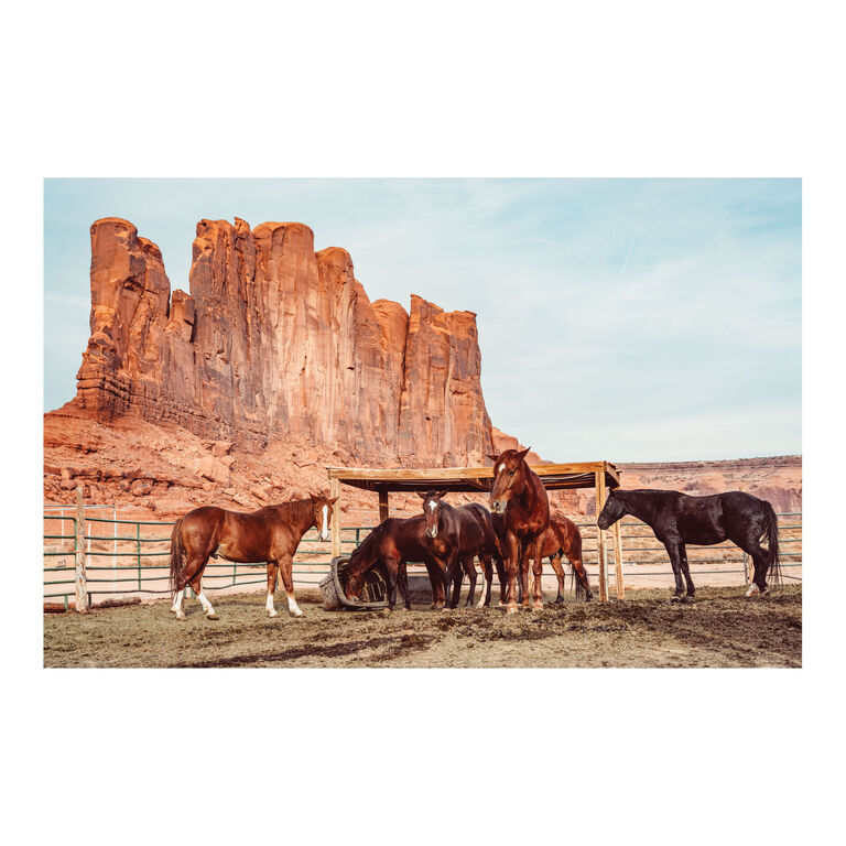 Buen Dia Horses of the Wild West Photographic Wall Art Print image number 1