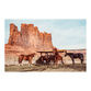 Buen Dia Horses of the Wild West Photographic Wall Art Print image number 0