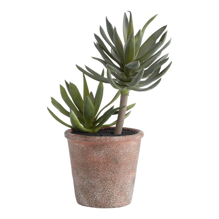 Faux Succulents in Rustic Pot image number 1