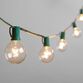 Clear Glass 30 Bulb String Lights image number 0