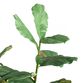 Faux Fiddle Leaf Fig Tree 57 Inch image number 1