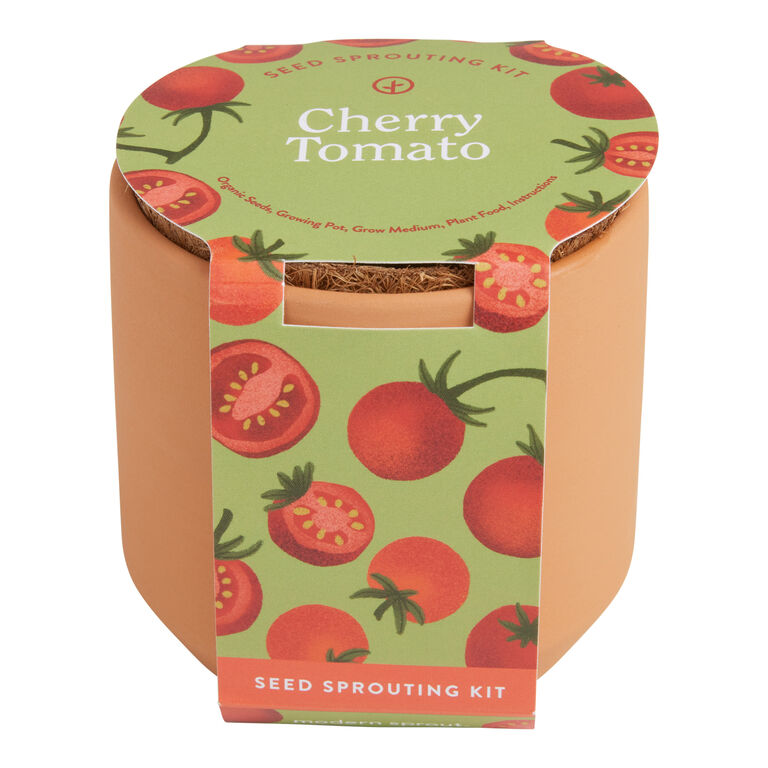 Modern Sprout Tiny Terracotta Cherry Tomato Grow Kit image number 1