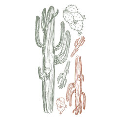 Mr. Kate Drawn Cactus Peel and Stick Wall Decals 6 Piece