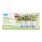 Back To The Roots Kitchen Herb Garden Grow Kit 3 Pack image number 0