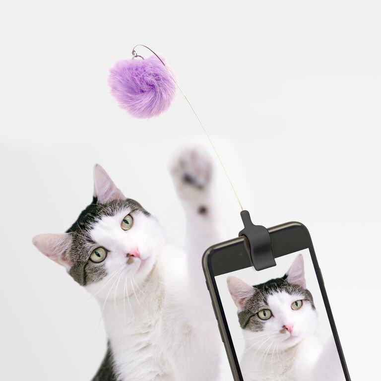Kikkerland Cat Photo Phone Clip With Toy Set of 3 image number 2