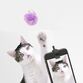 Kikkerland Cat Photo Phone Clip With Toy Set of 3 image number 1