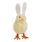 Wool Spring Chick With Bunny Ears Decor image number 1
