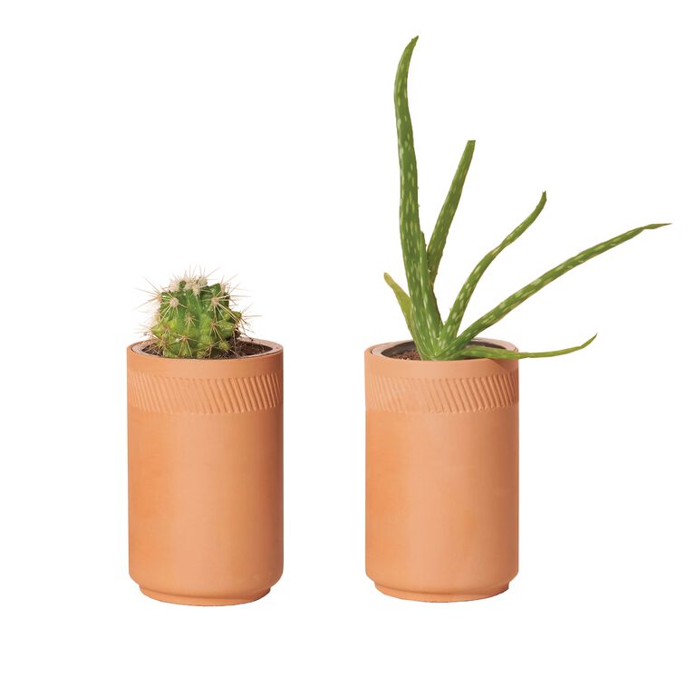 Modern Sprout Terracotta Hydro Grow Kits Set of 2 image number 2