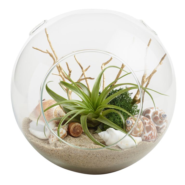 Beach Garden Live Plant Glass Terrarium image number 1