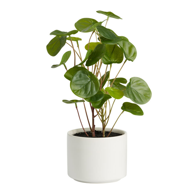 Faux Chinese Money Plant in Ceramic Pot image number 1