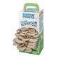 Back to the Roots Organic Oyster Mushroom Grow Kit image number 0