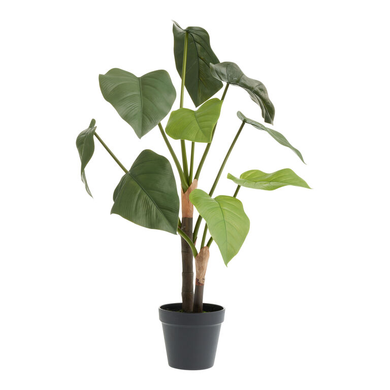 Faux Dasheen Leaf Plant image number 1