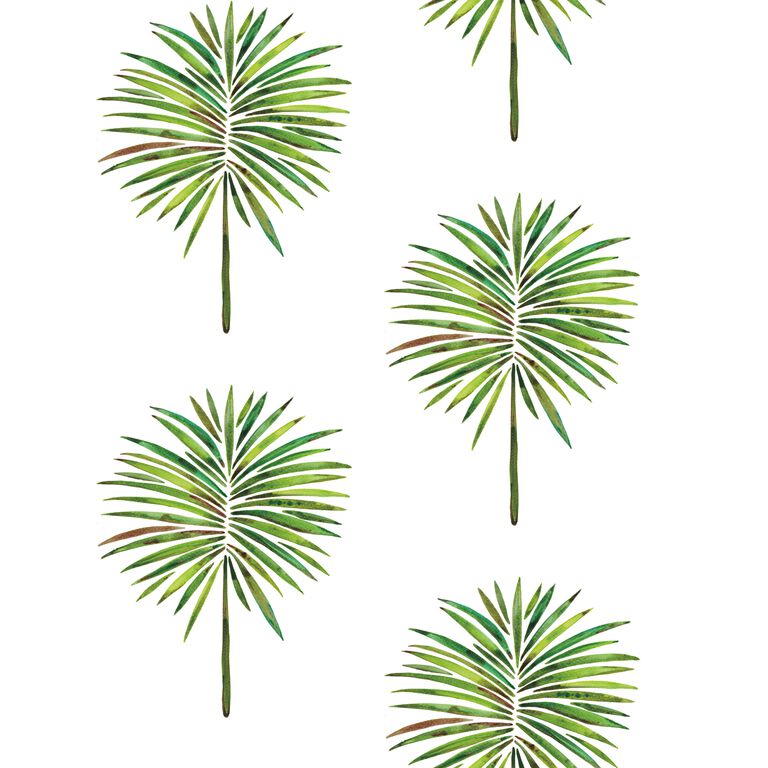 Cat Coquillette Palm Tree Frond Peel And Stick Wallpaper image number 1