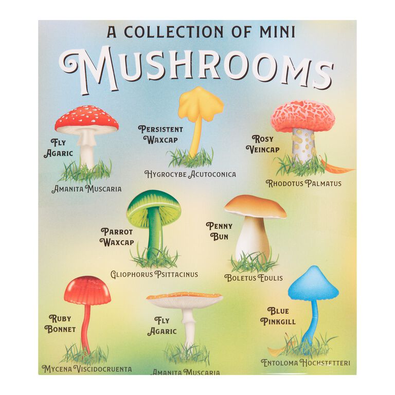Archie McPhee Mini Mushroom Collection 8 Pack image number 2