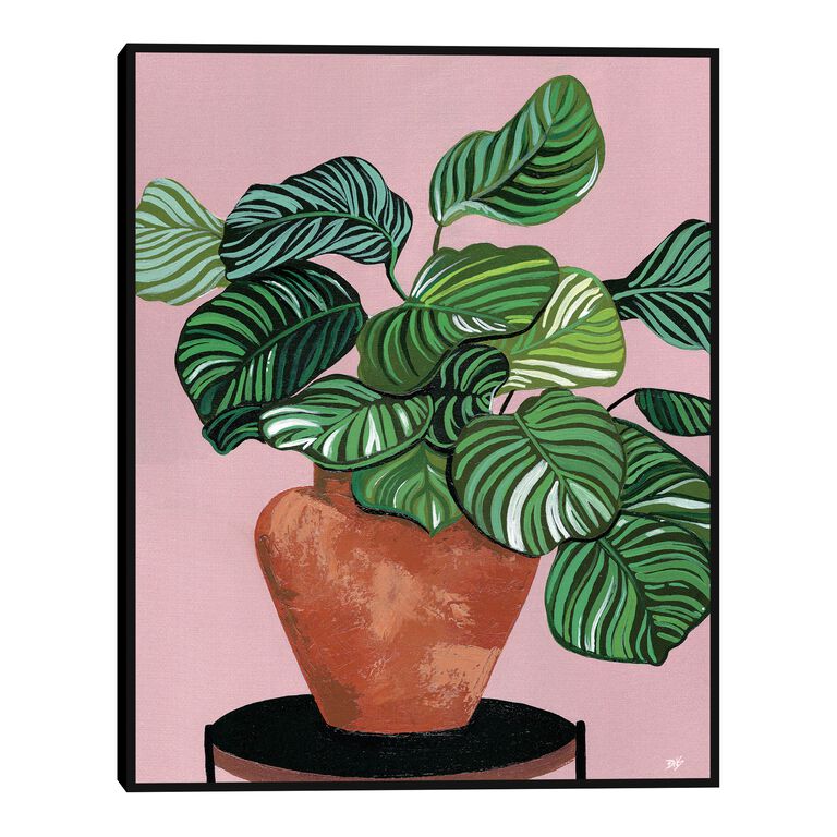Calatheas By Bria Nicole Framed Canvas Wall Art image number 1