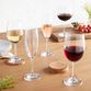 Gala Crystal Wine Glass Collection image number 0