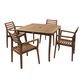 Danner Square Eucalyptus Outdoor Dining Table image number 1