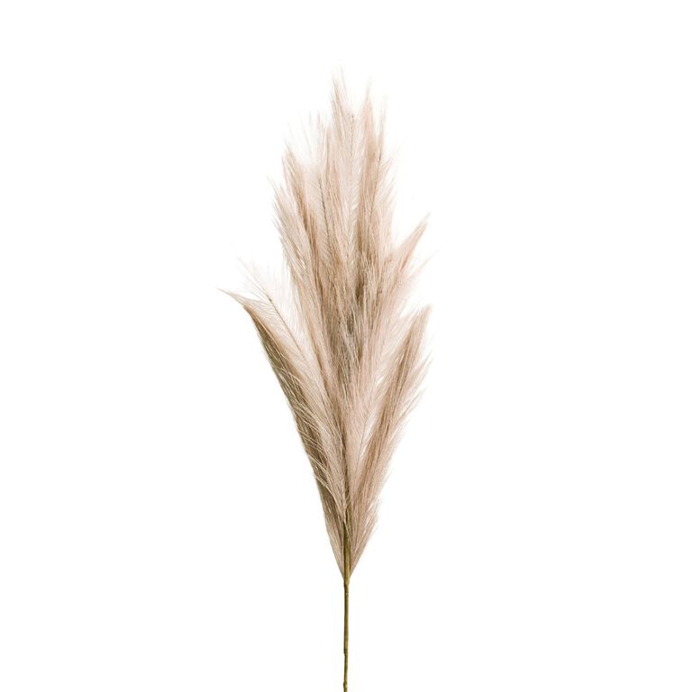 Faux Pampas Grass Stem 40 Inch image number 2