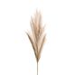 Faux Pampas Grass Stem 40 Inch image number 1