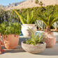 Palma Washed Terracotta Outdoor Planter image number 1