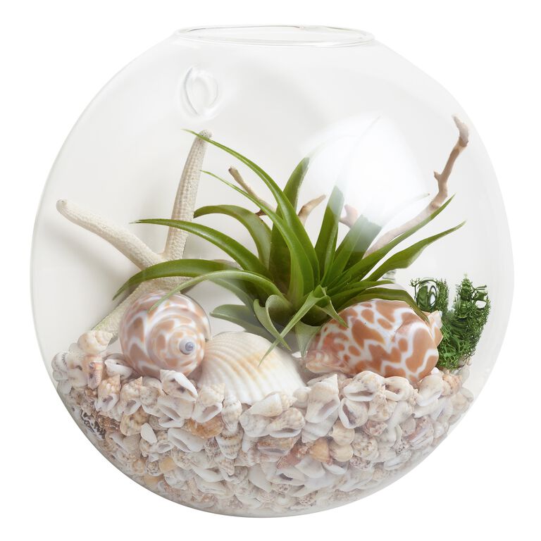 Wall-Mounted Live Plant Glass Terrarium image number 1