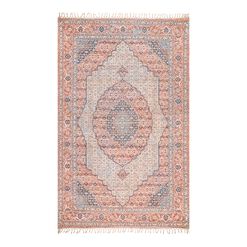 Clarena Coral and Blue Persian Style Area Rug