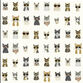 Rifle Paper Co. Cool Cats Peel and Stick Wallpaper image number 0