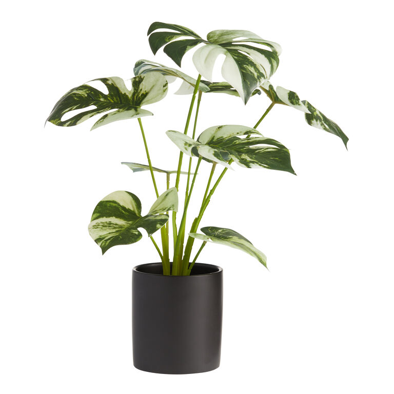 Faux Variegated Monstera Plant in Black Pot image number 1