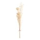Bleached Faux Protea Flower Bunch image number 0