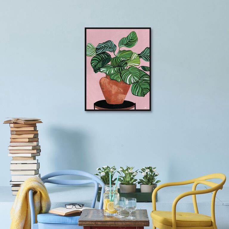 Calatheas By Bria Nicole Framed Canvas Wall Art image number 3
