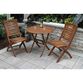 Danner Eucalyptus Wood Folding Outdoor Dining Chair Set of 2 image number 4