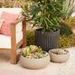 Taylor Large Black Cement Fluted Footed Outdoor Planter image number 1