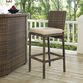 Jace Brown All Weather Wicker Outdoor Barstool Set Of 2 image number 2