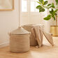 Adira White and Natural Seagrass Basket With Lid image number 1