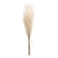 Natural Faux Pampas Grass Bunch image number 0