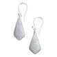 Silver And Faceted Moonstone Drop Earrings image number 0