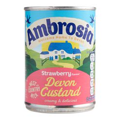 Ambrosia Strawberry Devon Custard Set of 2