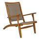 Erich Eucalyptus and All Weather Wicker Outdoor Lounge Chair image number 0