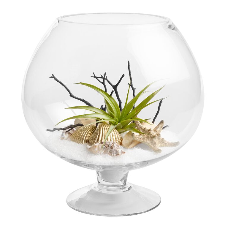 Live Plant Glass Terrarium with Driftwood image number 1