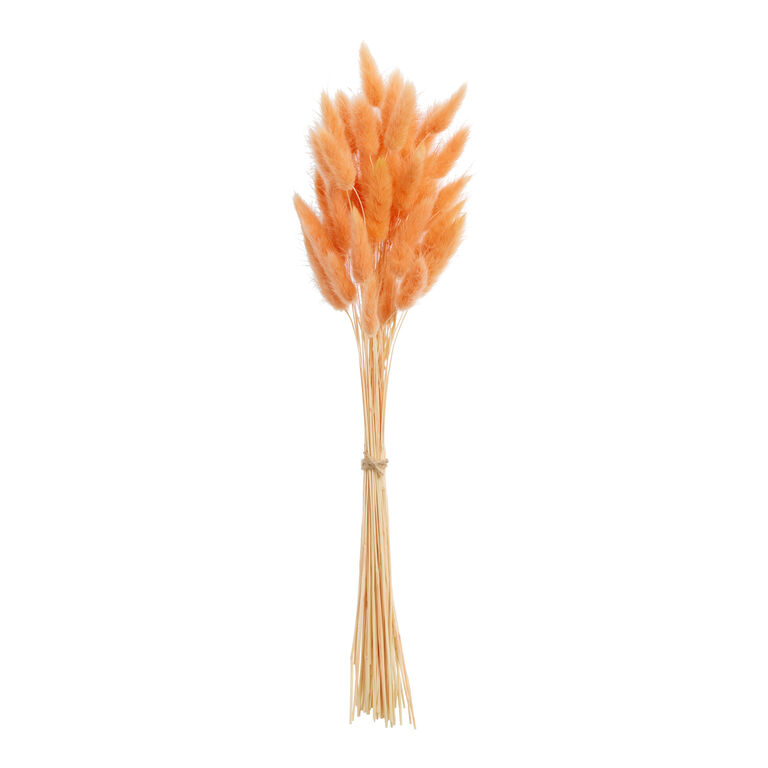 Apricot Dried Bunny Tail Bunch image number 1