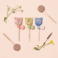 Modern Sprout Pollinator Seed Lollipops Set of 3